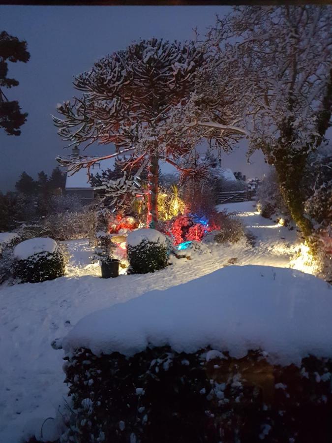 Norwegian Wood Otel Paignton Dış mekan fotoğraf