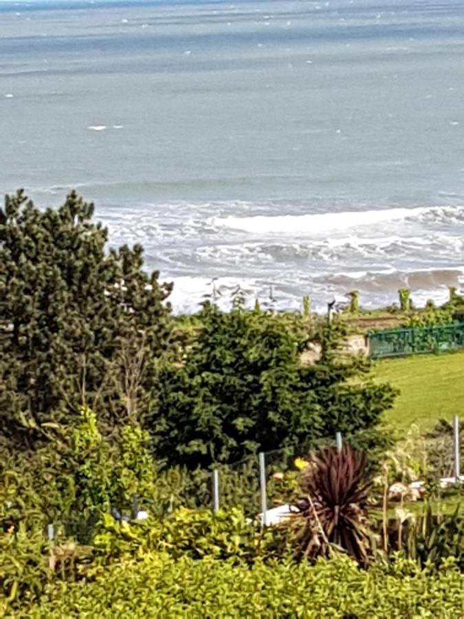 Norwegian Wood Otel Paignton Dış mekan fotoğraf
