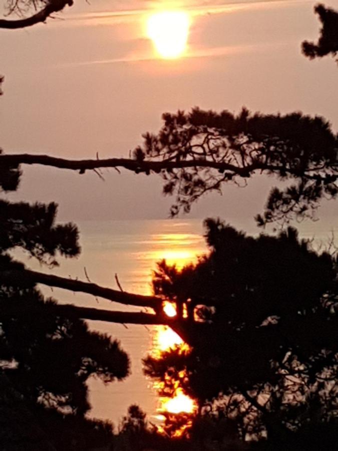 Norwegian Wood Otel Paignton Dış mekan fotoğraf