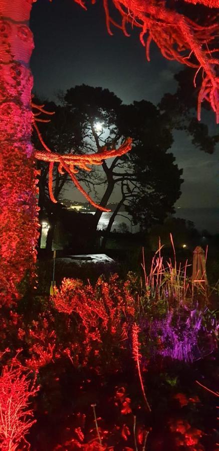 Norwegian Wood Otel Paignton Dış mekan fotoğraf