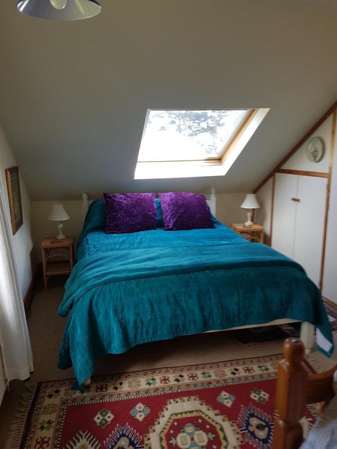 Norwegian Wood Otel Paignton Dış mekan fotoğraf