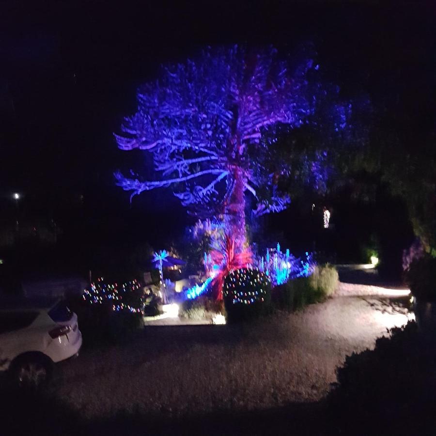Norwegian Wood Otel Paignton Dış mekan fotoğraf