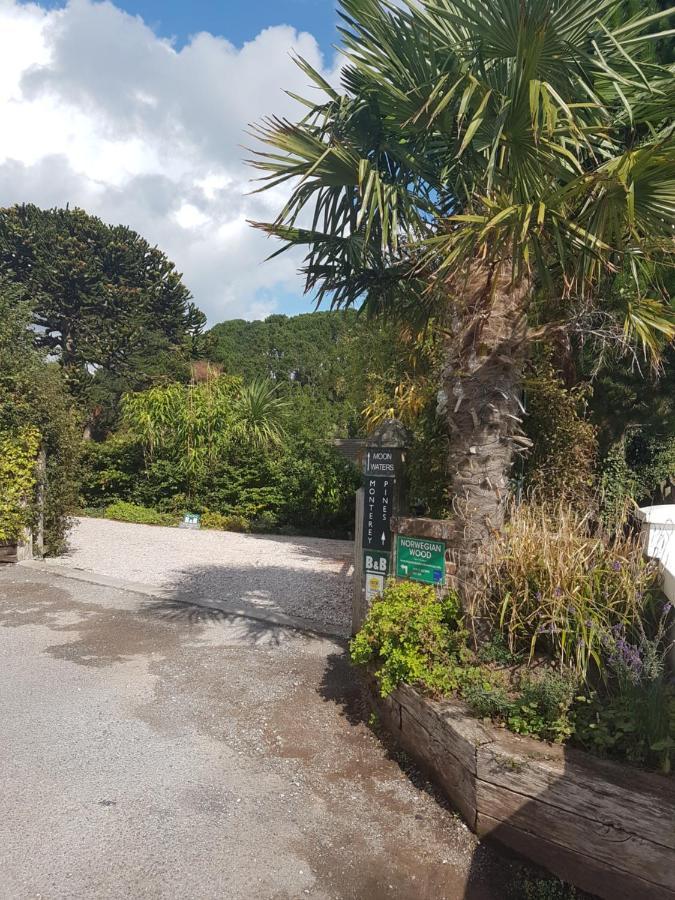 Norwegian Wood Otel Paignton Dış mekan fotoğraf